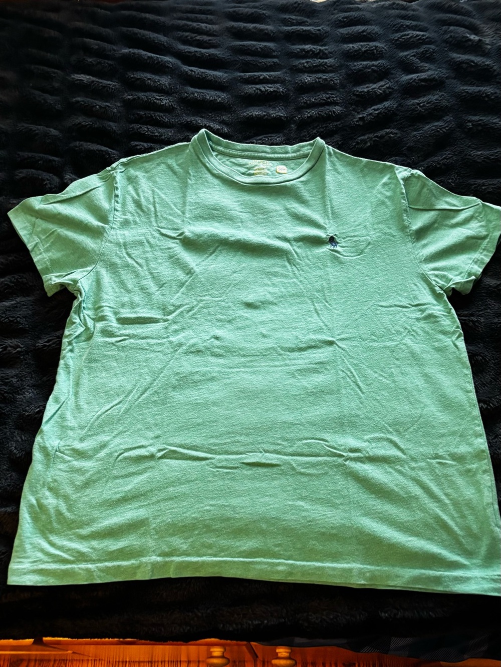 Polo Ralph Lauren Light Green T-Shirt